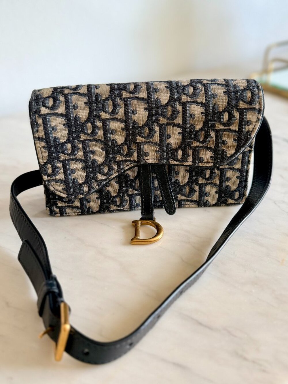 Dior Oblique Canvas Saddle Belt Pouch Bag - MINT